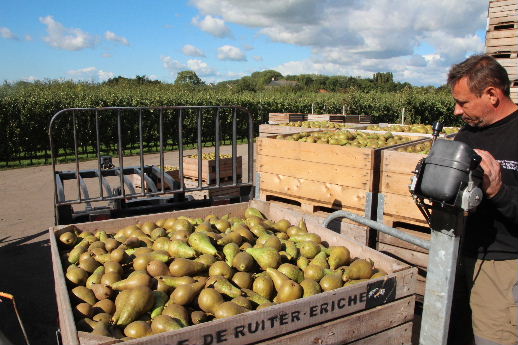 J.E. de Ruiter Fruitteelt